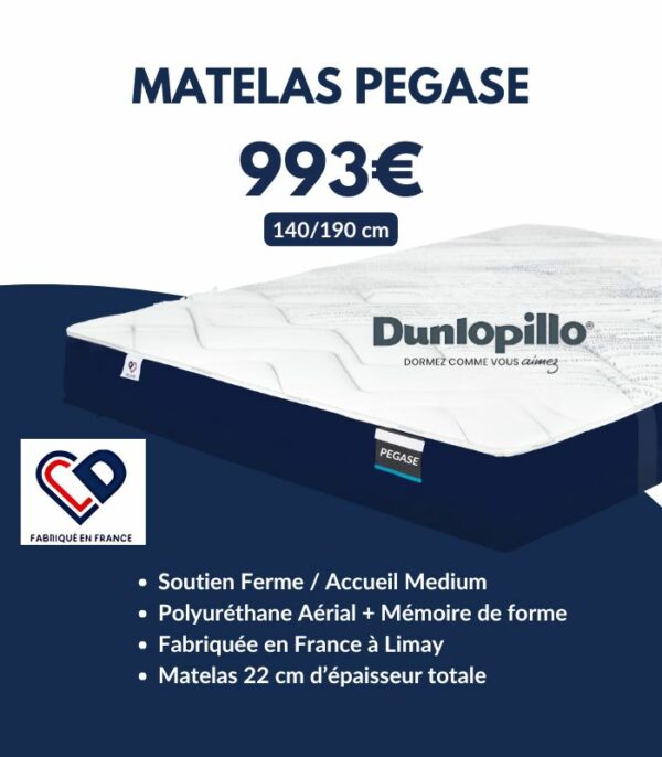 Matelas PEGASE 140x190 cm